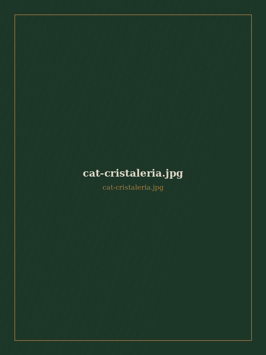 Cristalería